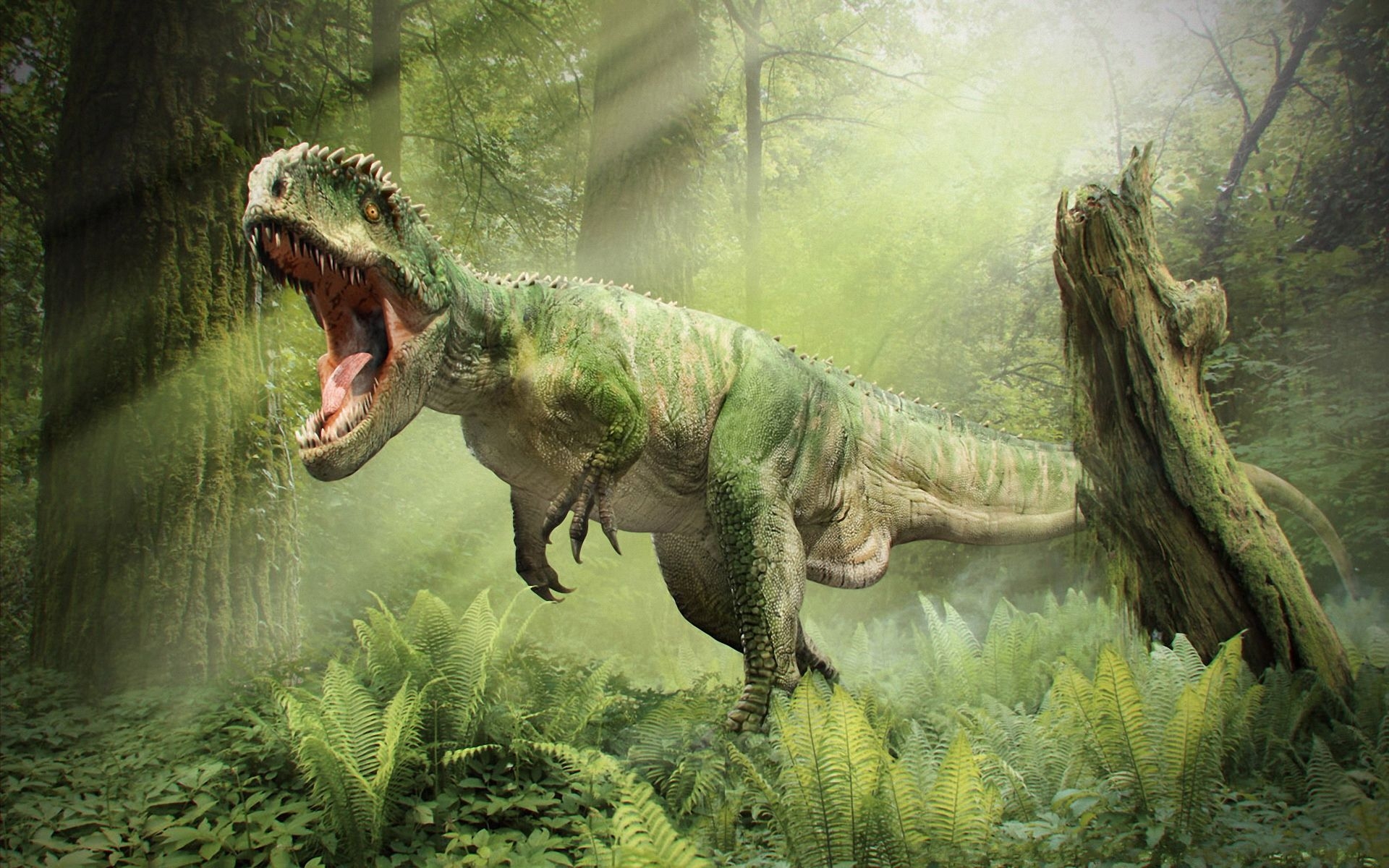 Dinosaur Pictures - Tyrannosaurus Rex , HD Wallpaper & Backgrounds
