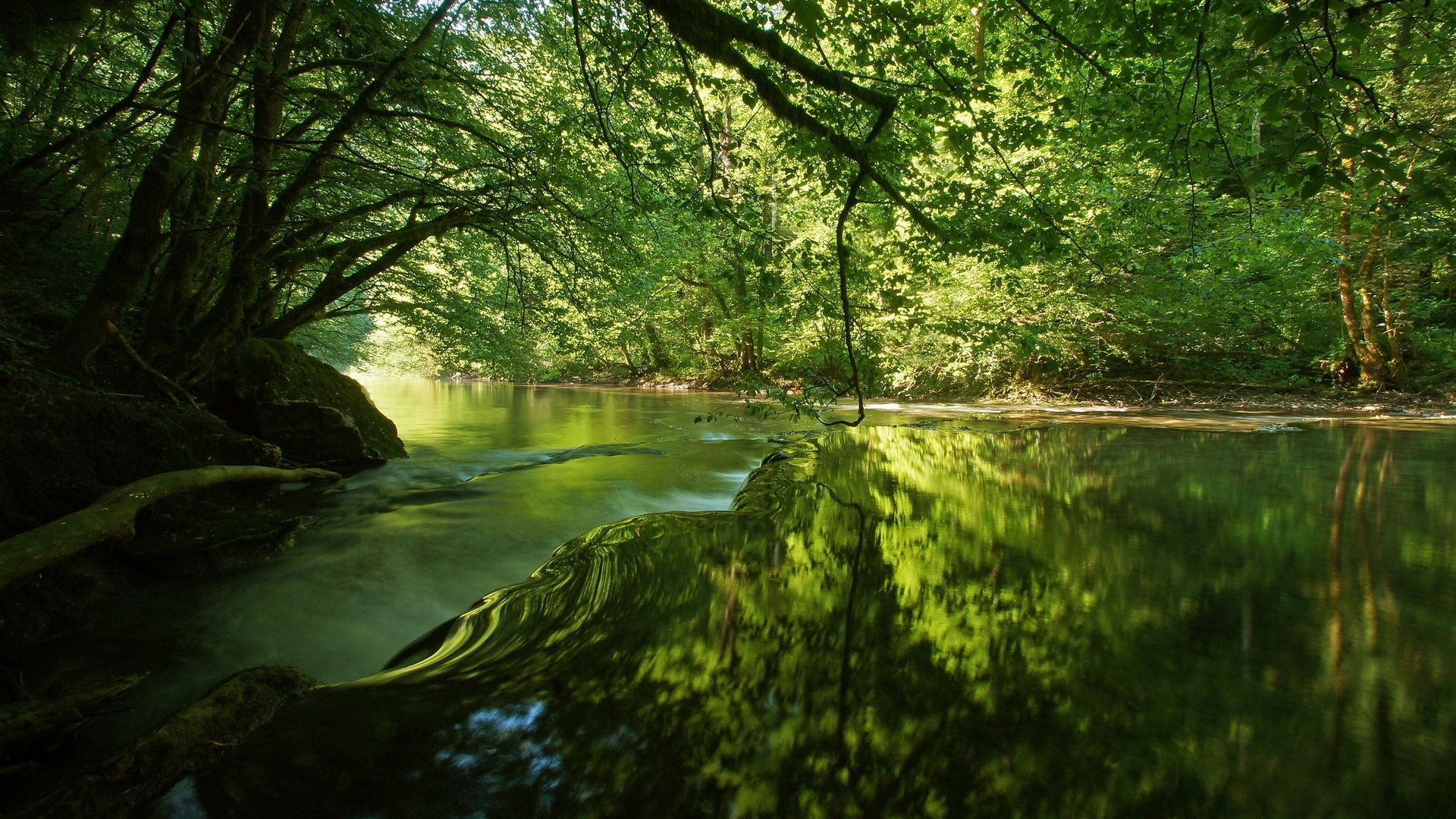 Summer, Water, Smooth, Surface, Mirror, Reflection, - Beautiful Trees By Water , HD Wallpaper & Backgrounds