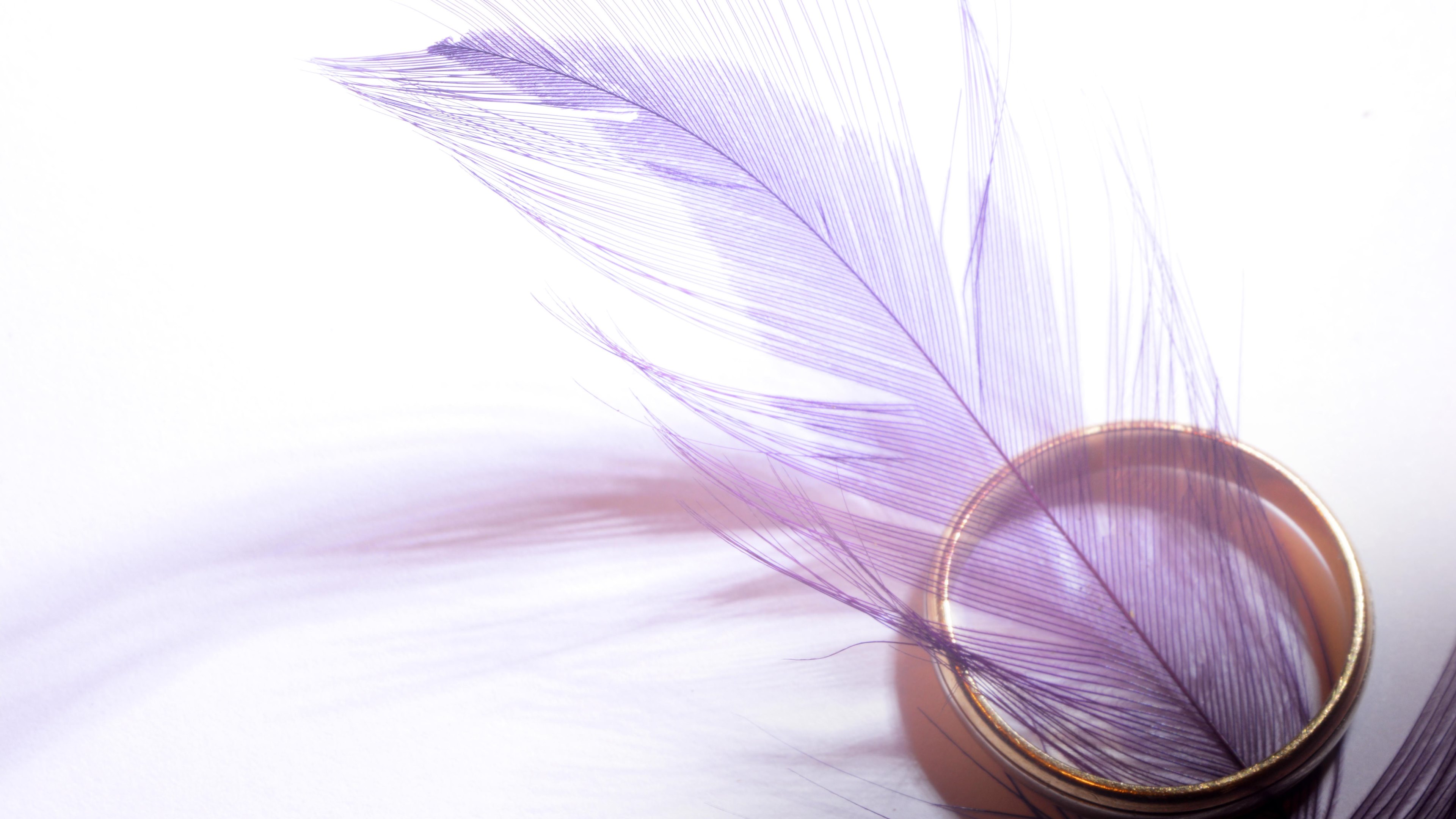 Feather Wallpaper Gallery Of Peacock Feather Desktop - Purple Wedding Background Hd , HD Wallpaper & Backgrounds