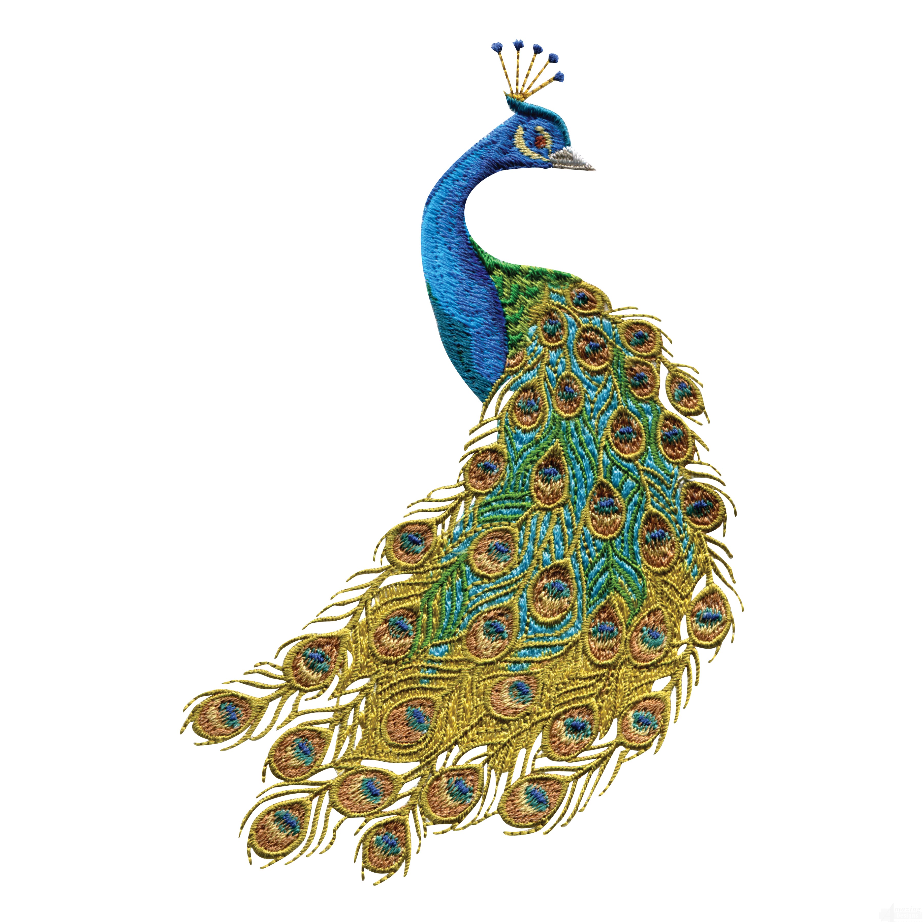 High Definition Peacock Wallpapers, Backgrounds And - Peacock Image Without Background , HD Wallpaper & Backgrounds