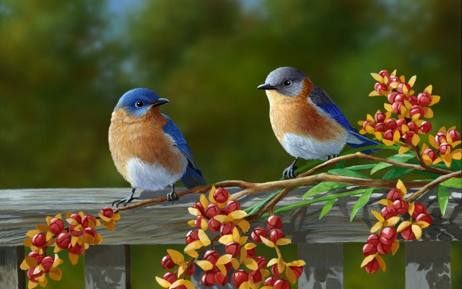 Full Hd Beautiful Birds , HD Wallpaper & Backgrounds