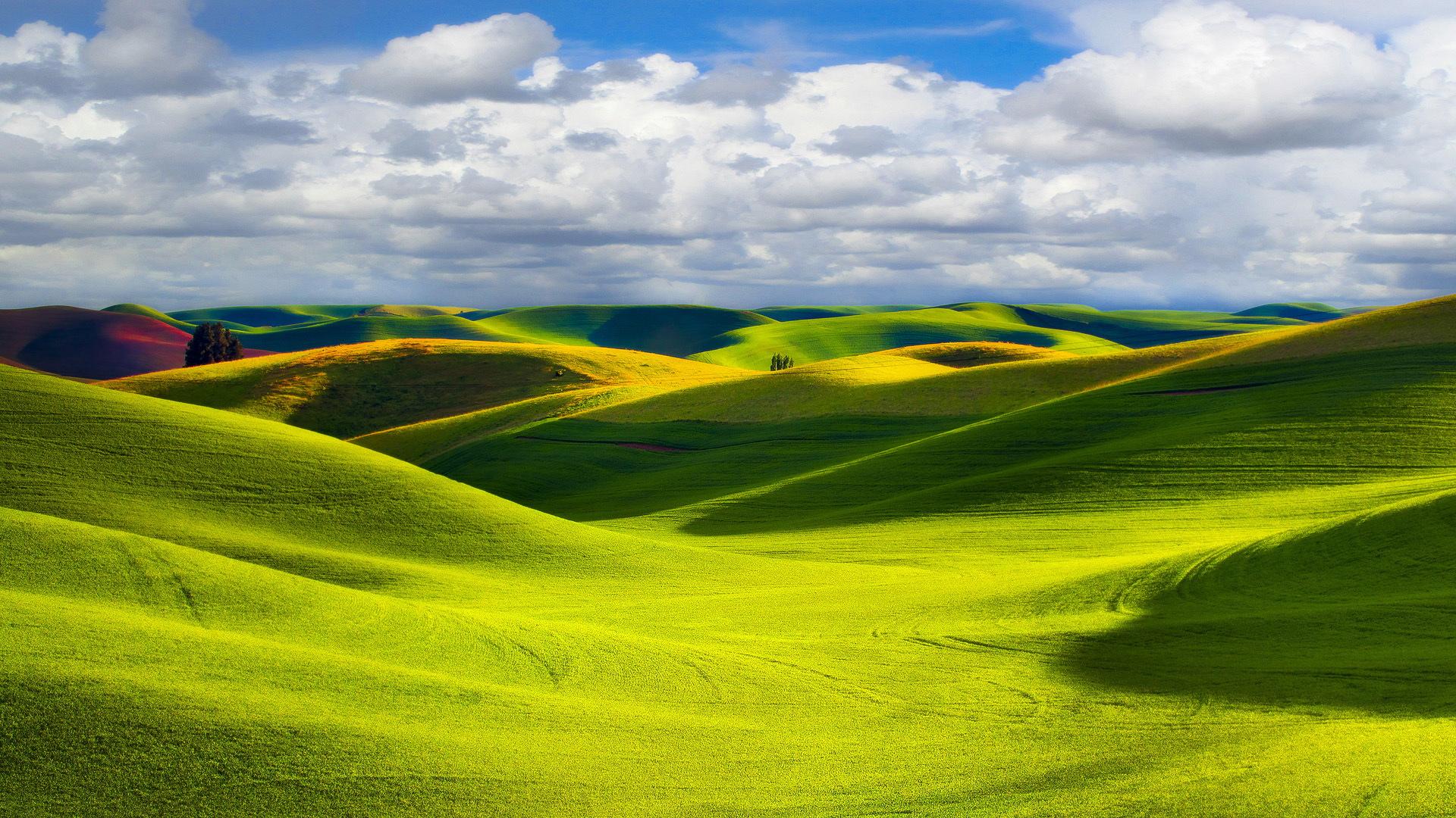 Green Prairie , HD Wallpaper & Backgrounds