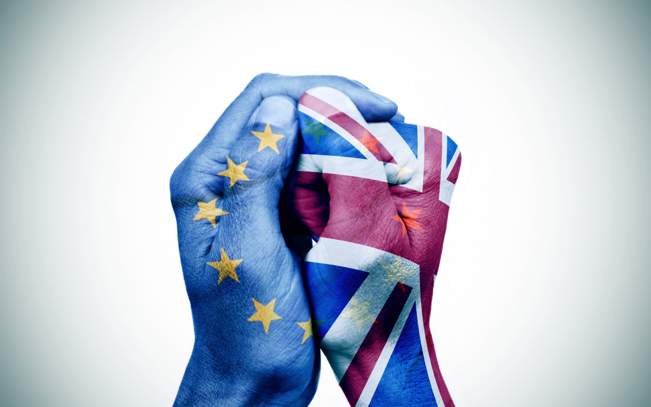 Many Are Calling The U - Brexit Hands , HD Wallpaper & Backgrounds