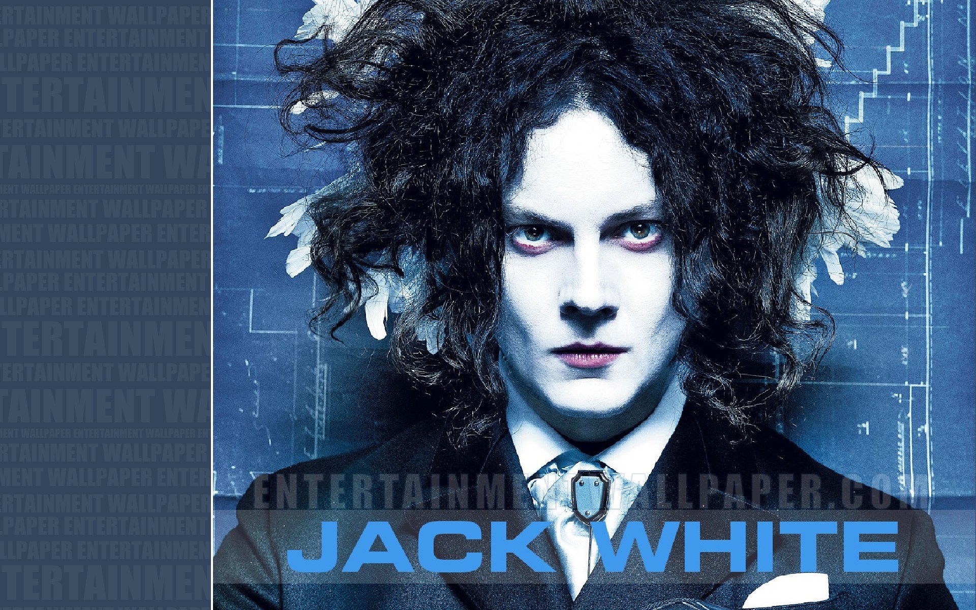 Jack White , HD Wallpaper & Backgrounds