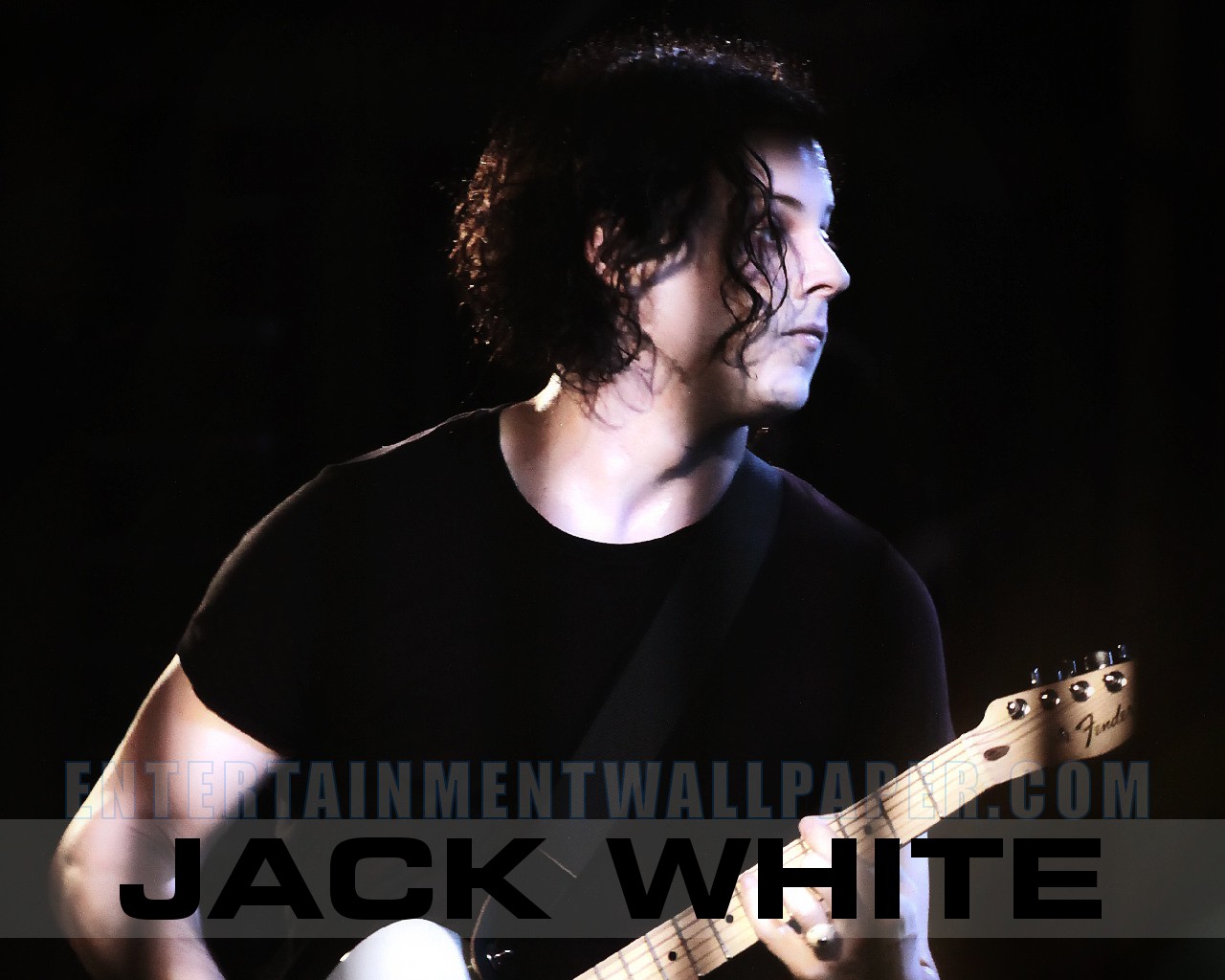 Jack White Wallpaper - Vines 2011 (#1917773) - HD Wallpaper