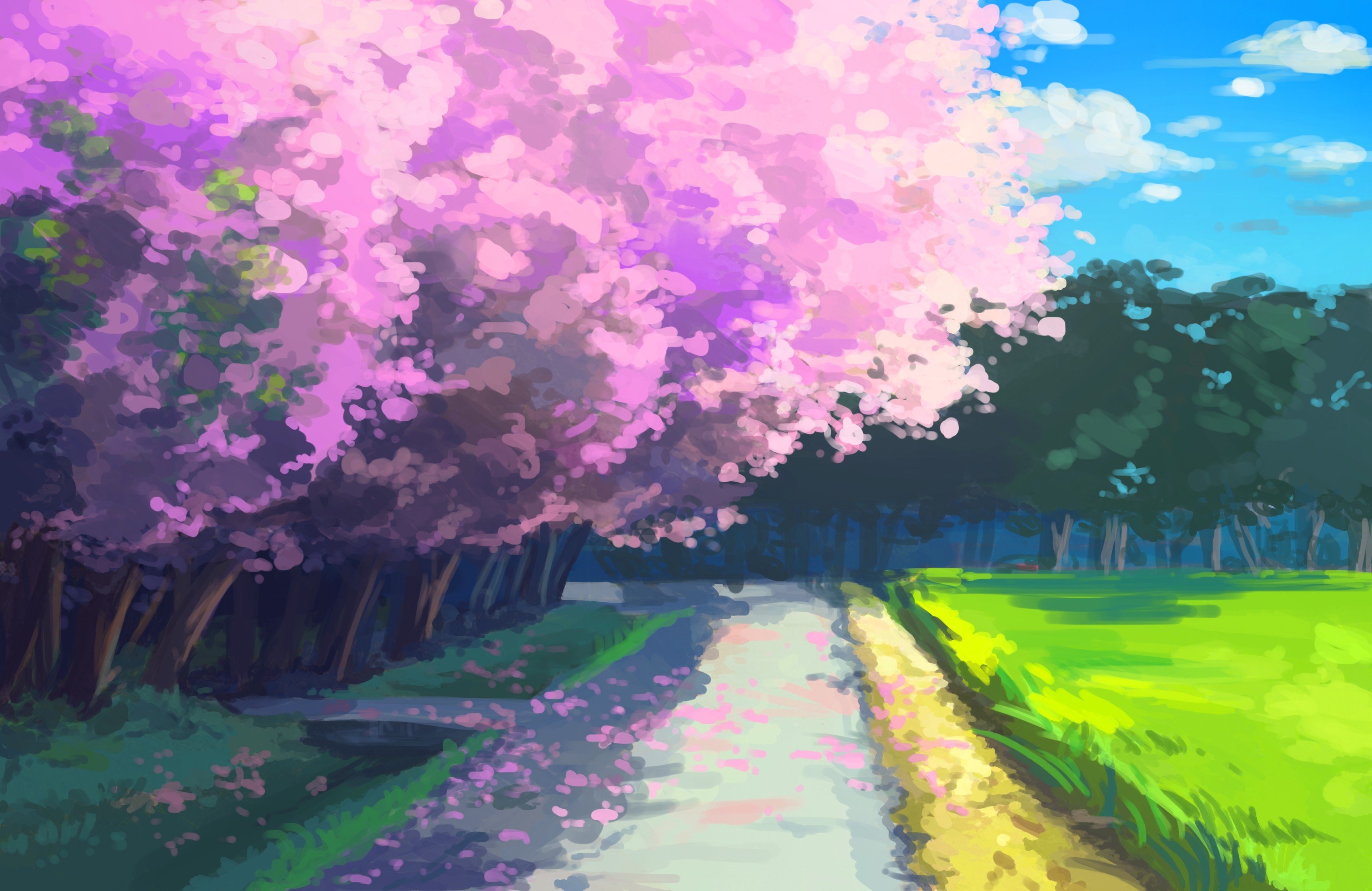 Cherry Blossom Background Anime , HD Wallpaper & Backgrounds