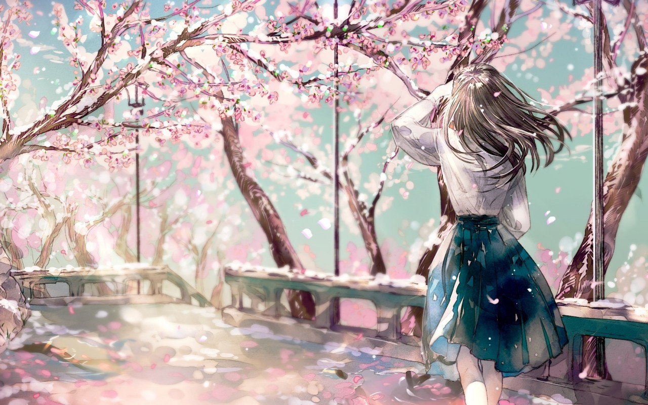 Cherry Blossom, Sakura, Anime Girl, Back View - Sakura Anime Cherry Blossom Tree , HD Wallpaper & Backgrounds