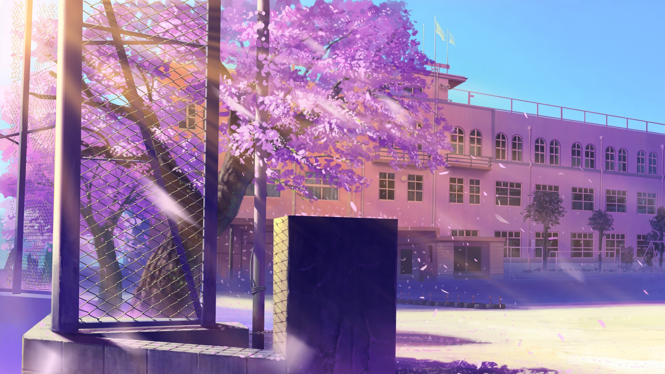Cherry Blossom Anime Background Hd , HD Wallpaper & Backgrounds