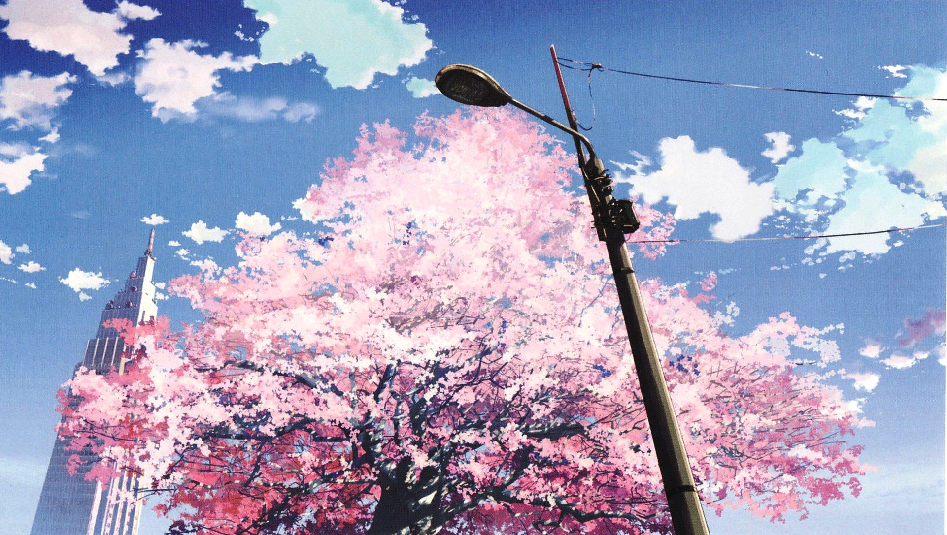 5cm Per Second Cherry Blossoms , HD Wallpaper & Backgrounds