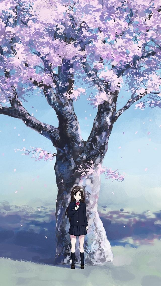 Anime Cherry Blossom Wallpaper - Night Cherry Blossom Tree Anime , HD Wallpaper & Backgrounds