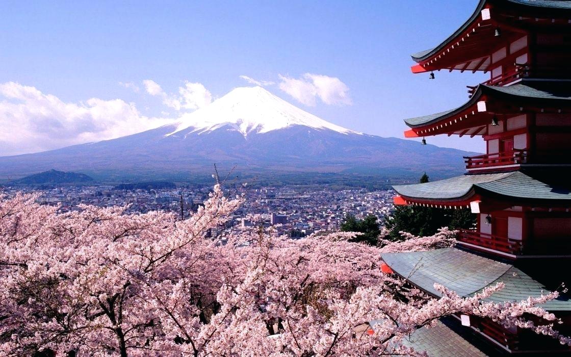 Cherry Blossoms And Mount Japan Wallpaper Japanese - Japan Background , HD Wallpaper & Backgrounds
