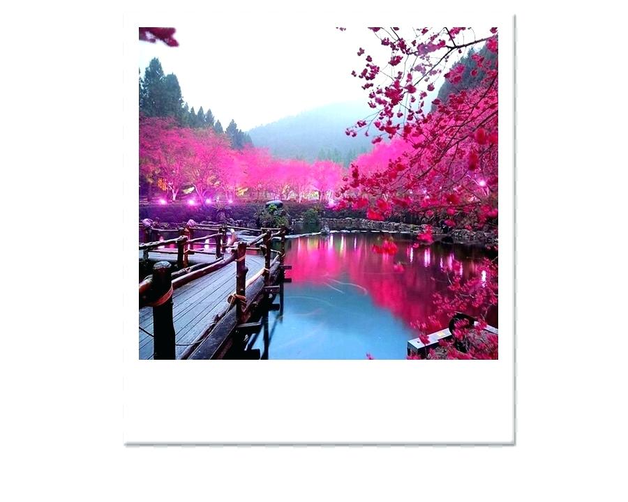 Japanese Cherry Blossom Garden Wallpaper Wallpaper - Japan Sight Is Beautiful , HD Wallpaper & Backgrounds