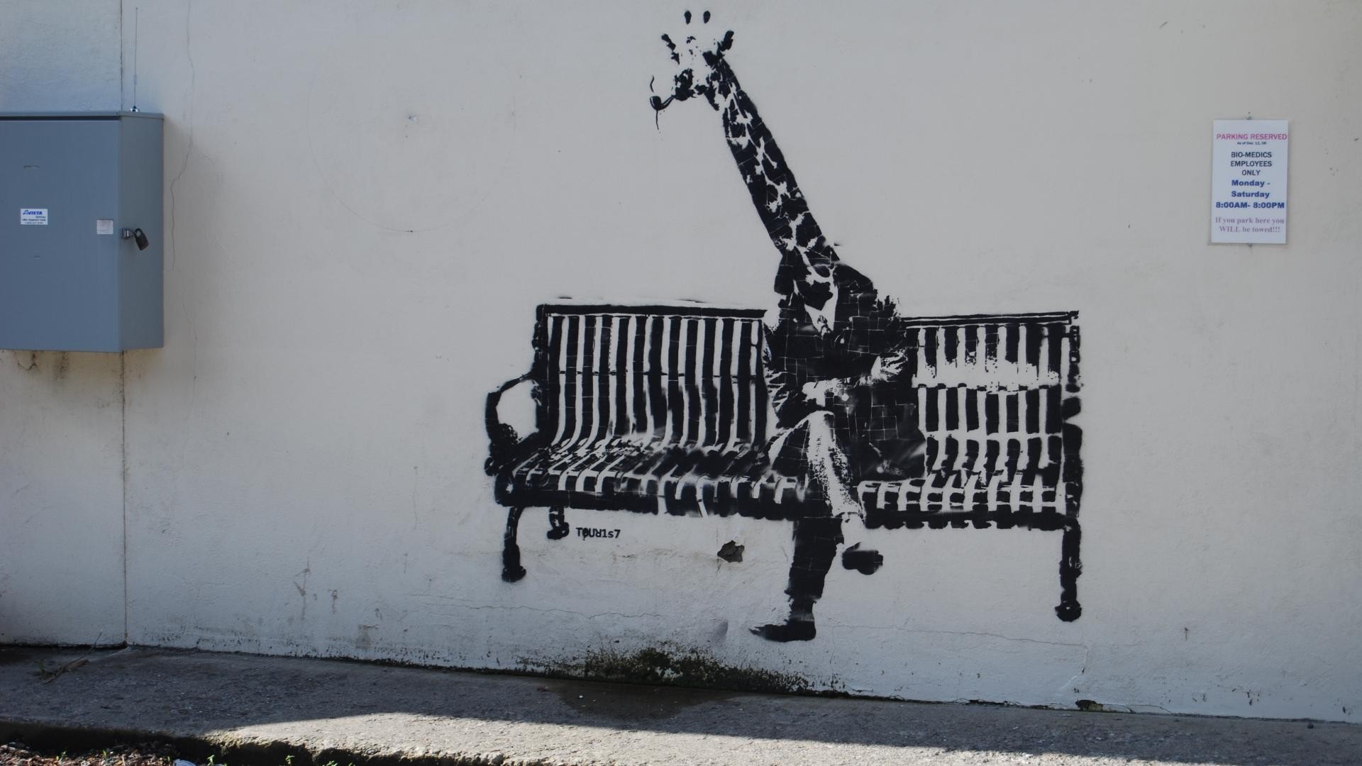 Banksy Wallpaper - Banksy Giraffe , HD Wallpaper & Backgrounds