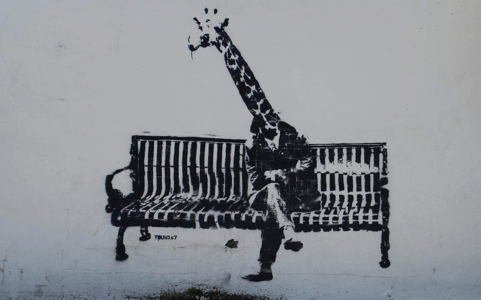 Banksy Giraffe , HD Wallpaper & Backgrounds