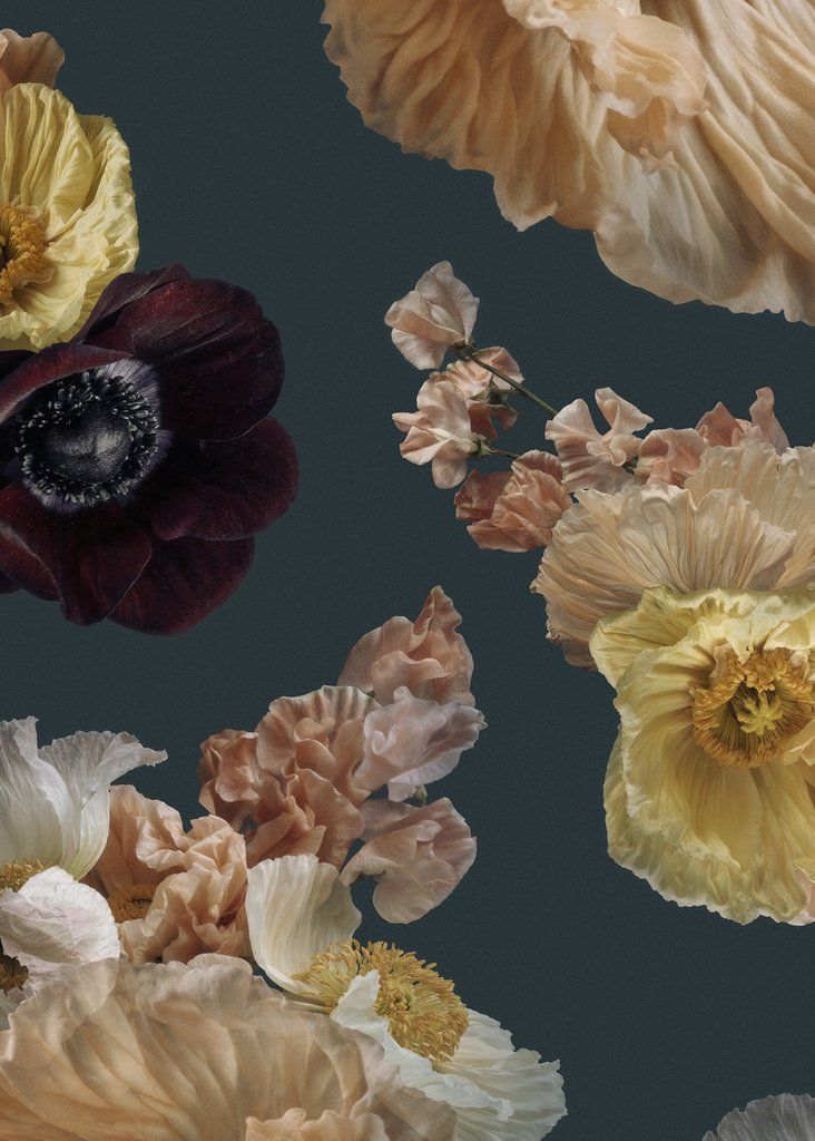 Pompadour Poppy - Artificial Flower , HD Wallpaper & Backgrounds