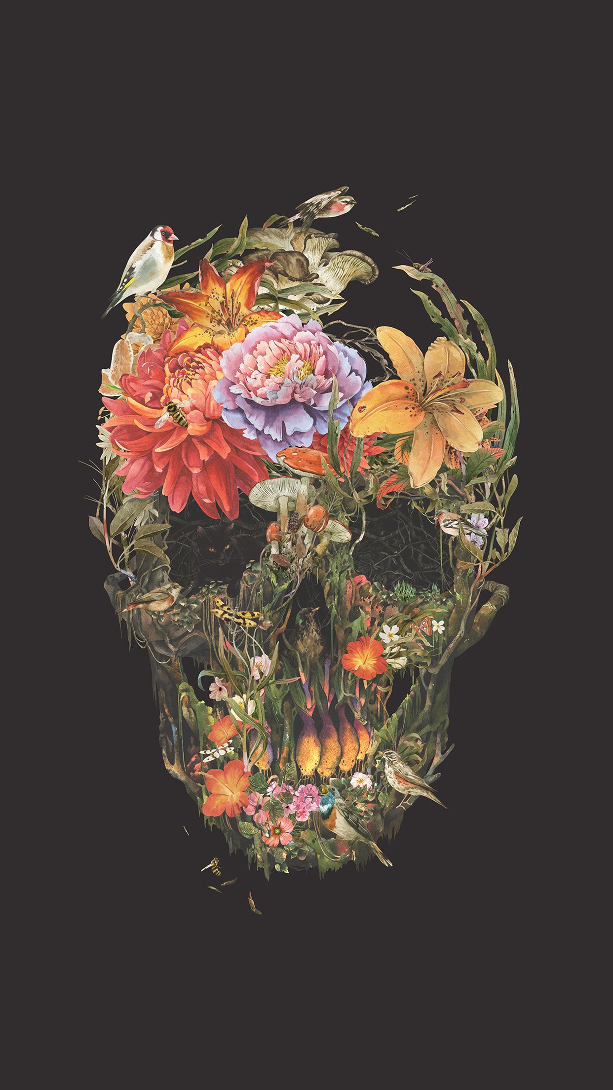 Iphone 7 Plus - Flower Skull Wallpaper Hd , HD Wallpaper & Backgrounds