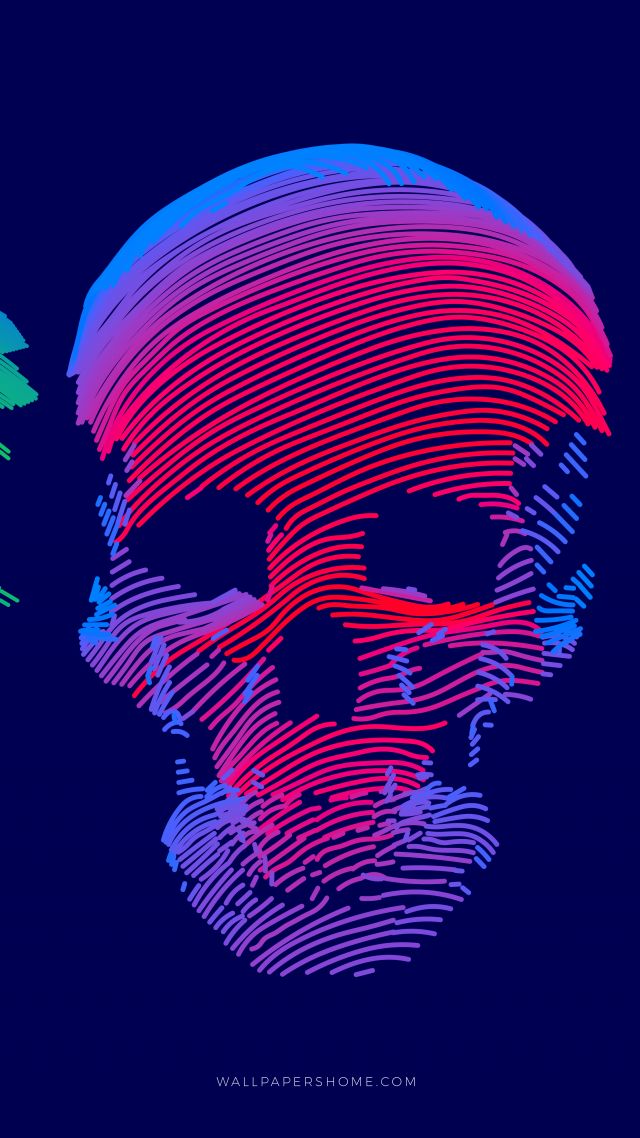 3d, Colorful, Skull, 8k - Android Wallpaper Hd , HD Wallpaper & Backgrounds
