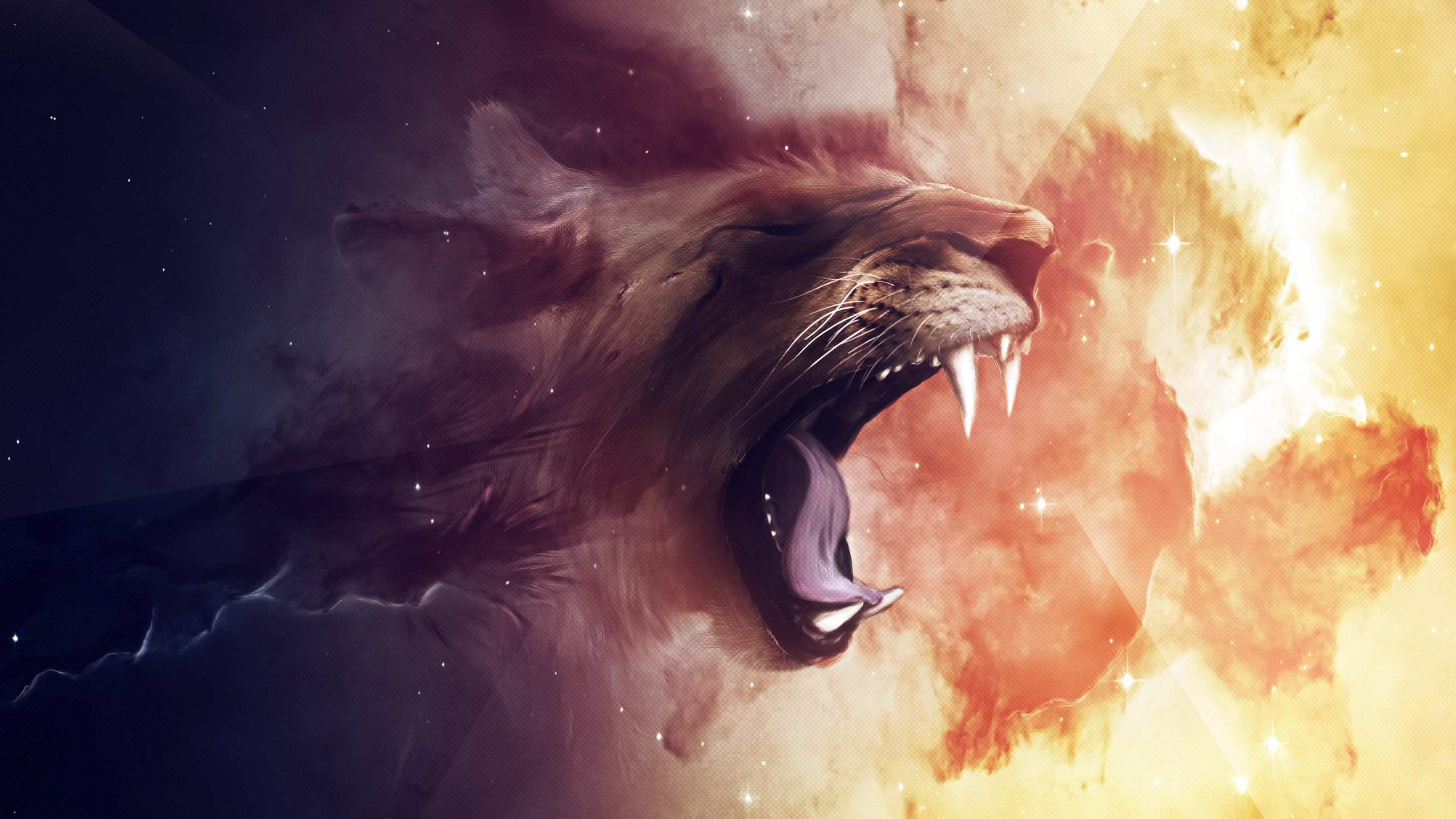 Rainbow Lion Wallpaper - Fond D Écran Art Hd , HD Wallpaper & Backgrounds