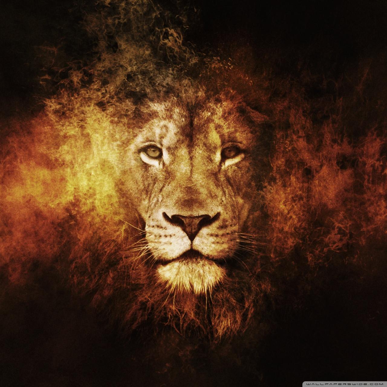 Galaxy Lion Wallpaper - Wildlife Heritage Foundation , HD Wallpaper & Backgrounds