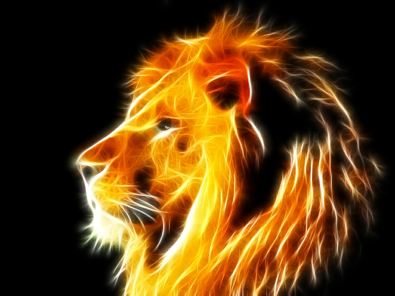 Rainbow Lion Wallpaper - Lion 300px , HD Wallpaper & Backgrounds