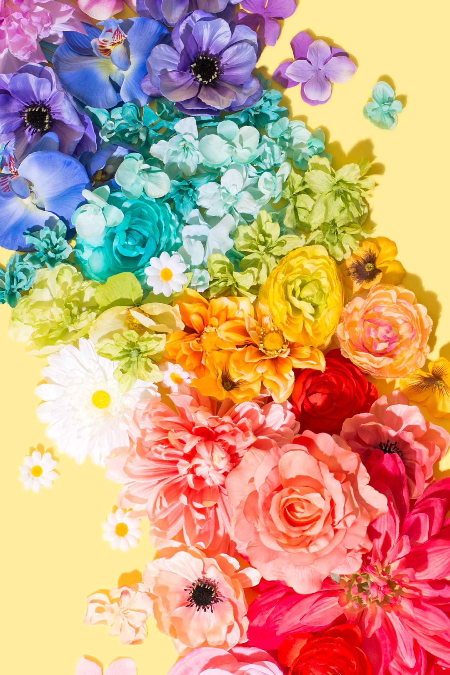 Here Comes Spring / Violet Tinder Studios - Rainbow Wallpaper Flower , HD Wallpaper & Backgrounds