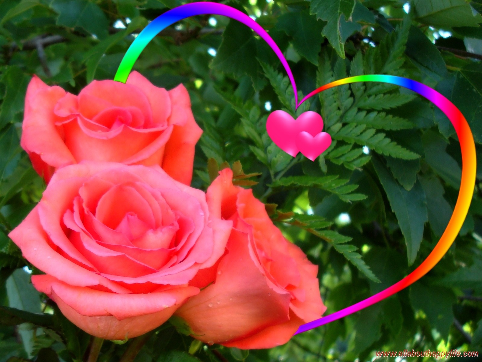 Love Rainbow Heart Colored Beautiful Leaves Roses Green - Download Beautiful Love Flowers , HD Wallpaper & Backgrounds