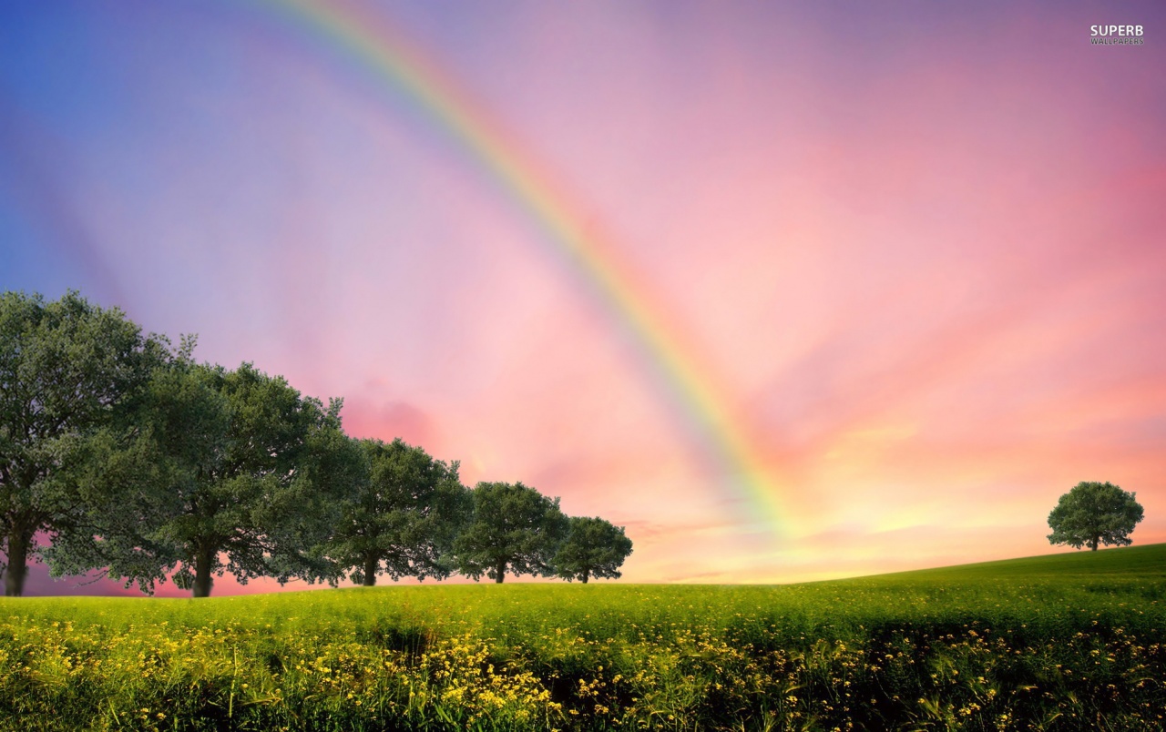 Rainbow Trees & Flowerfield Wallpapers And Stock Photos - Nature Rainbow , HD Wallpaper & Backgrounds