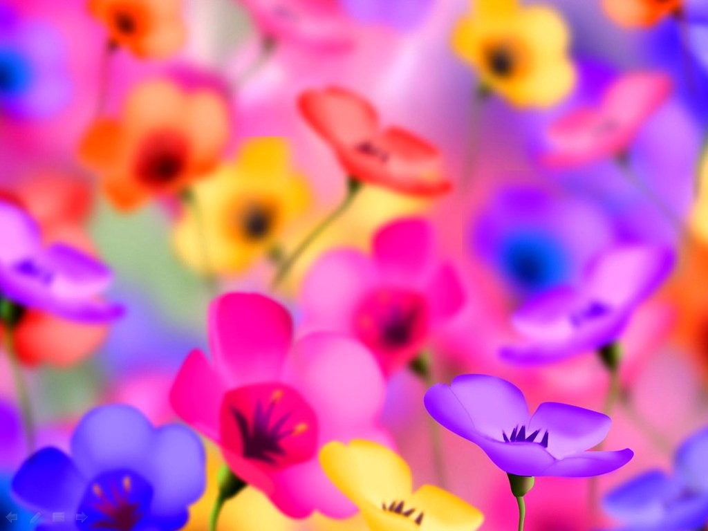 Frilly Tag Wallpapers - Full Screen Flower Wallpaper Hd , HD Wallpaper & Backgrounds