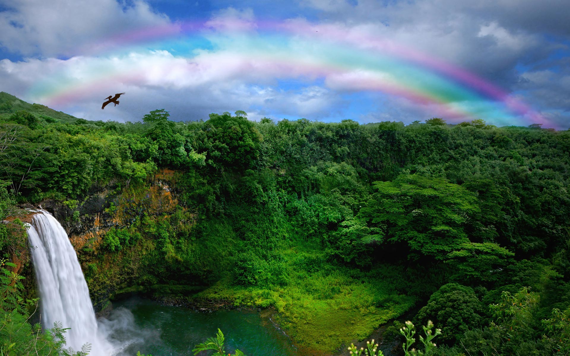 Fortune Real Pictures Of Rainbows Rainbow Wallpaper - Kauai , HD Wallpaper & Backgrounds
