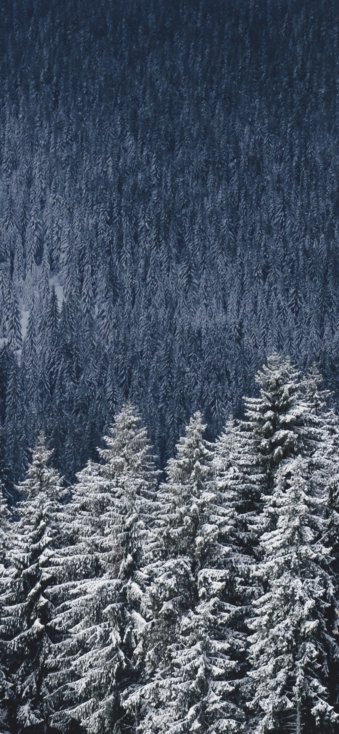 Aspen Colorado Winter Travel Wallpaper , HD Wallpaper & Backgrounds