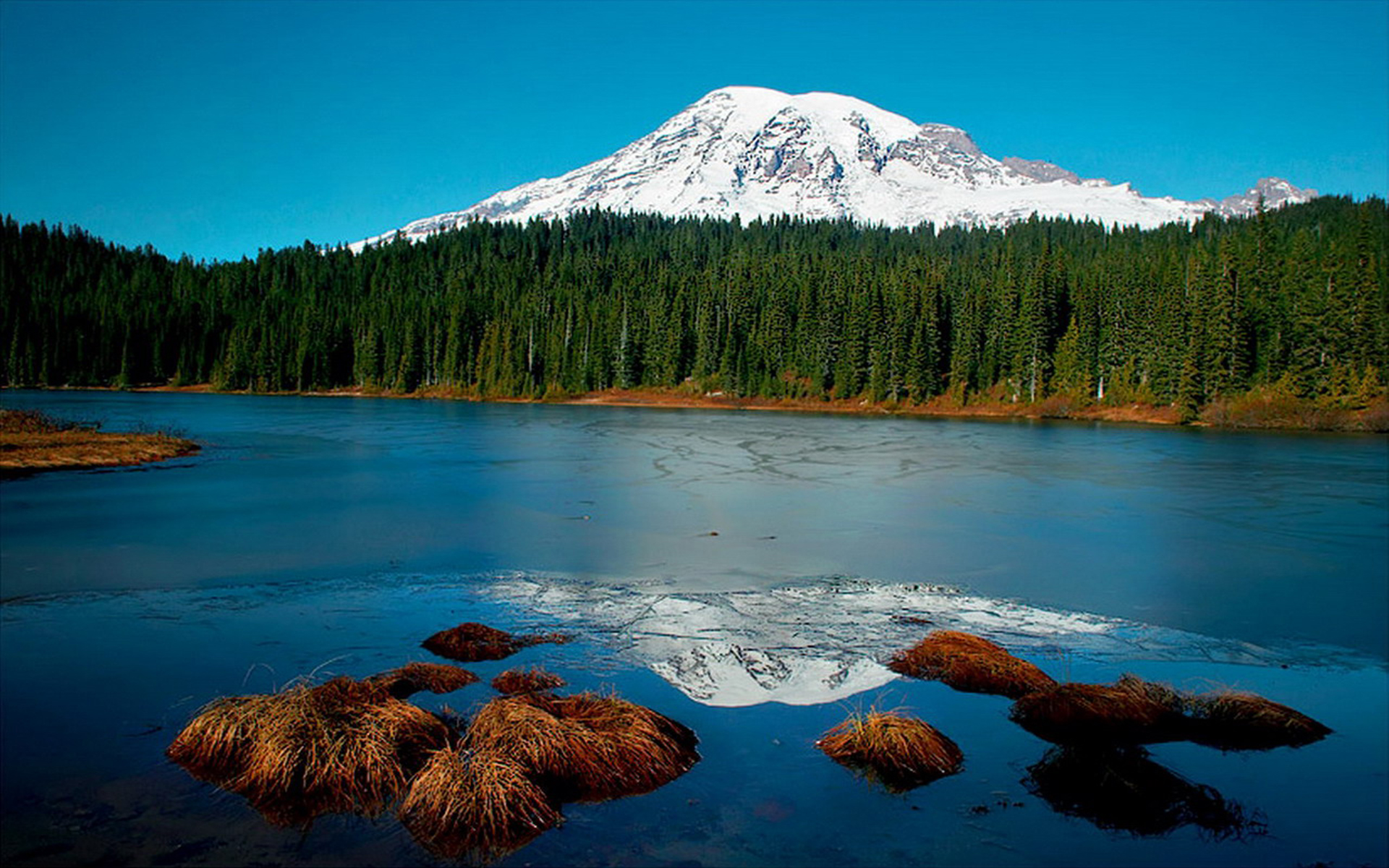 Nature Landscape Snow Mountain River Forest Hd Wallpapers - Mount Rainier National Park, Nisqually Glacier , HD Wallpaper & Backgrounds