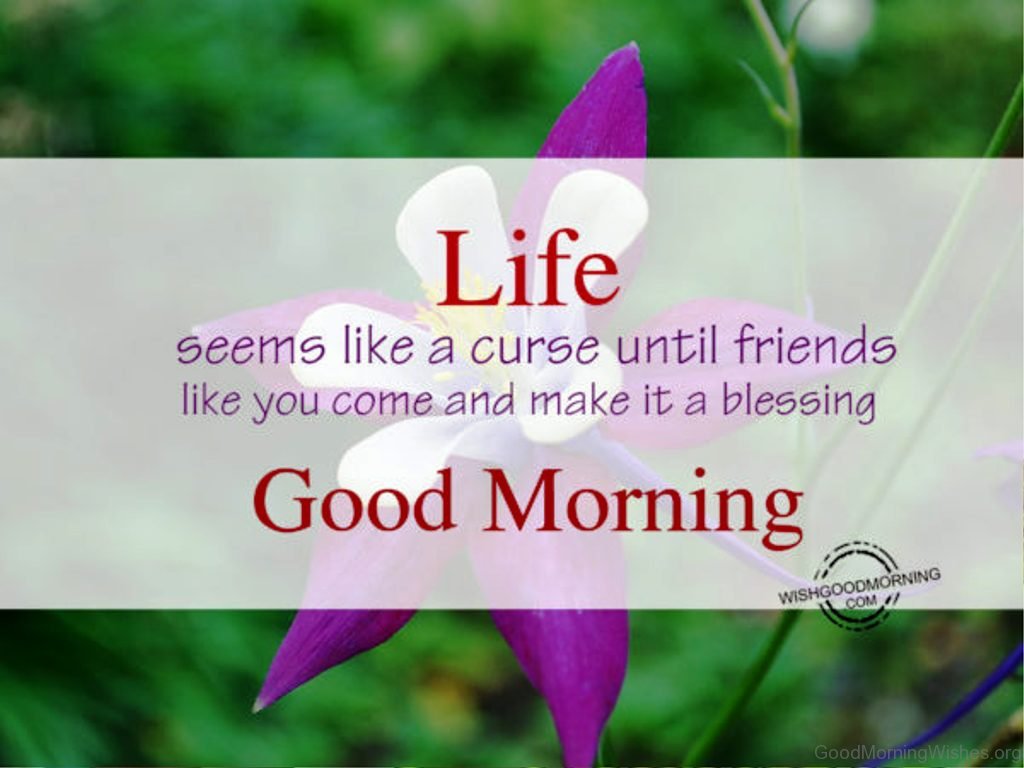 Life Seems Like Cursegood Morning - Good Morning To Good Friends , HD Wallpaper & Backgrounds