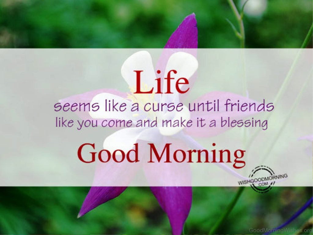 Good Morning Quotes For Friends Good Morning Quotes For Friends