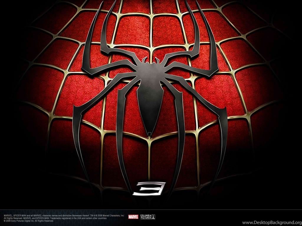 Cool Black Spider Man , HD Wallpaper & Backgrounds