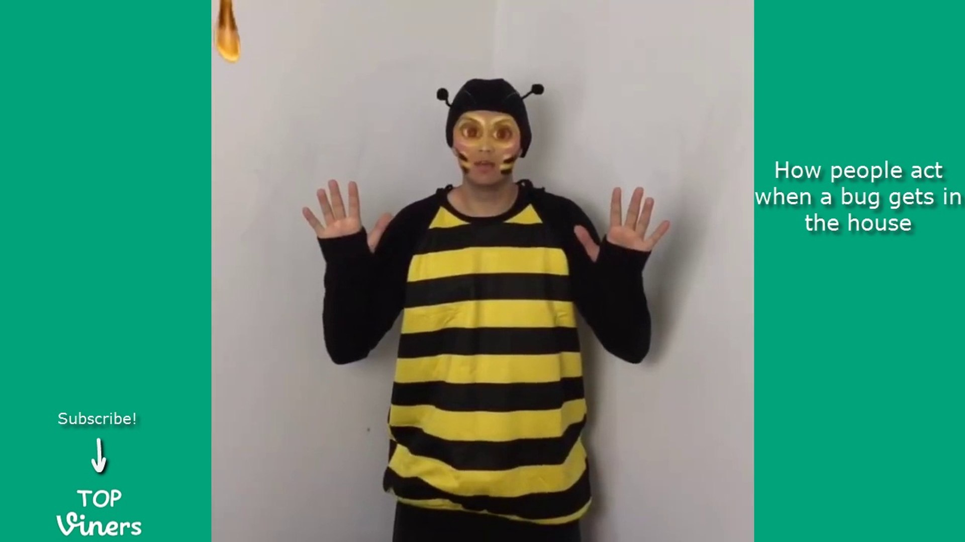 Funniest Christian Delgrosso Videos Compilation - Honeybee , HD Wallpaper & Backgrounds