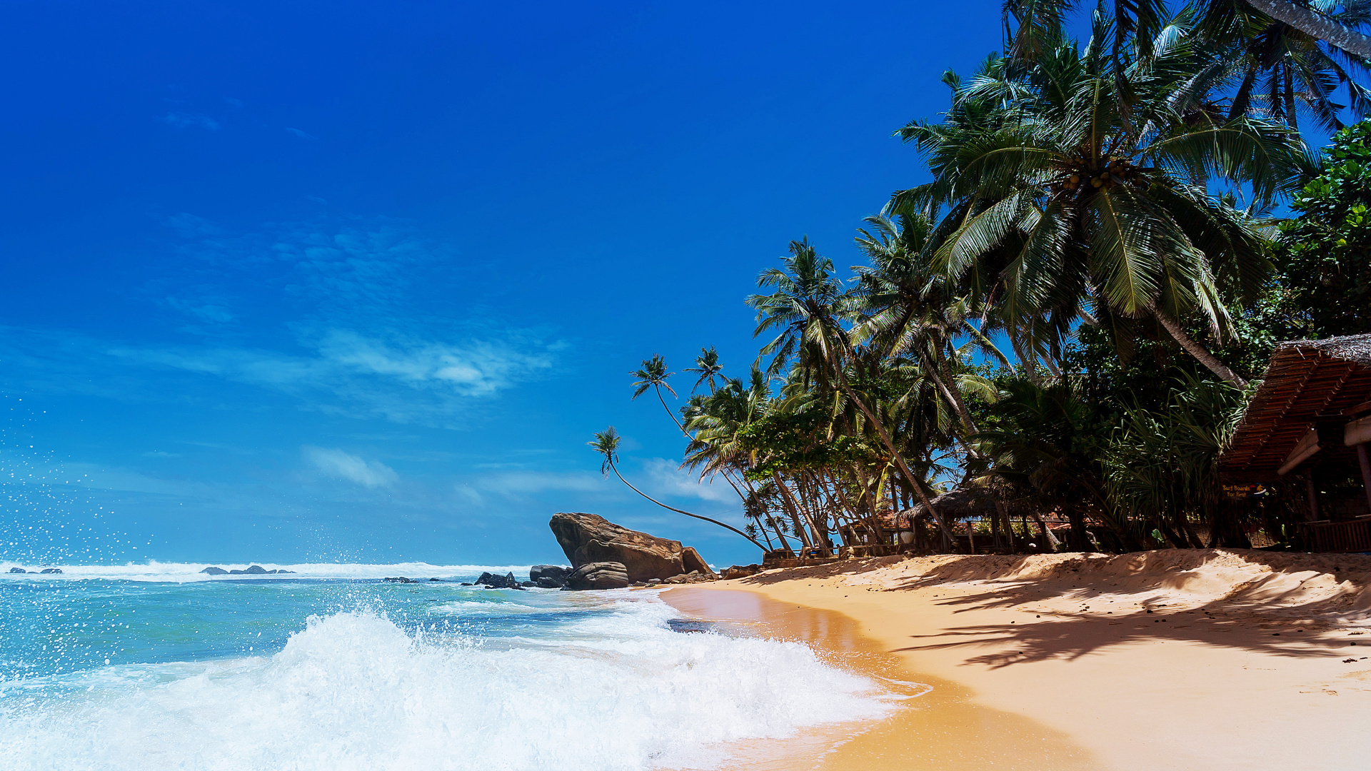 Wallpaper Tropical Beach, Sea Waves, Palm Trees , HD Wallpaper & Backgrounds