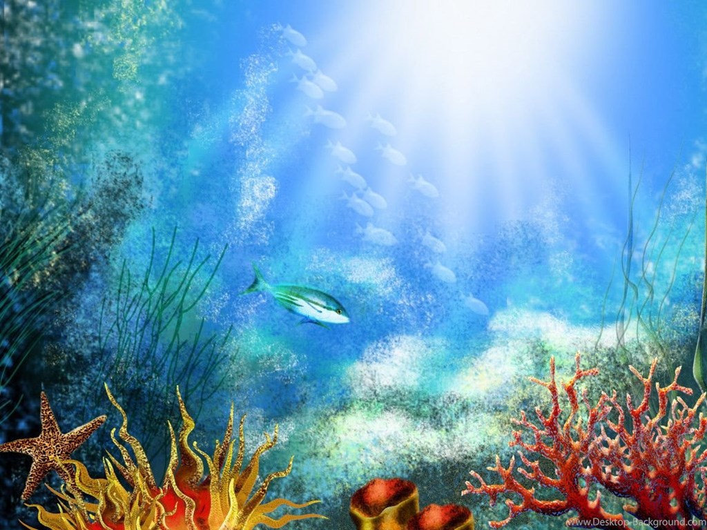 Underwater Fish Background , HD Wallpaper & Backgrounds