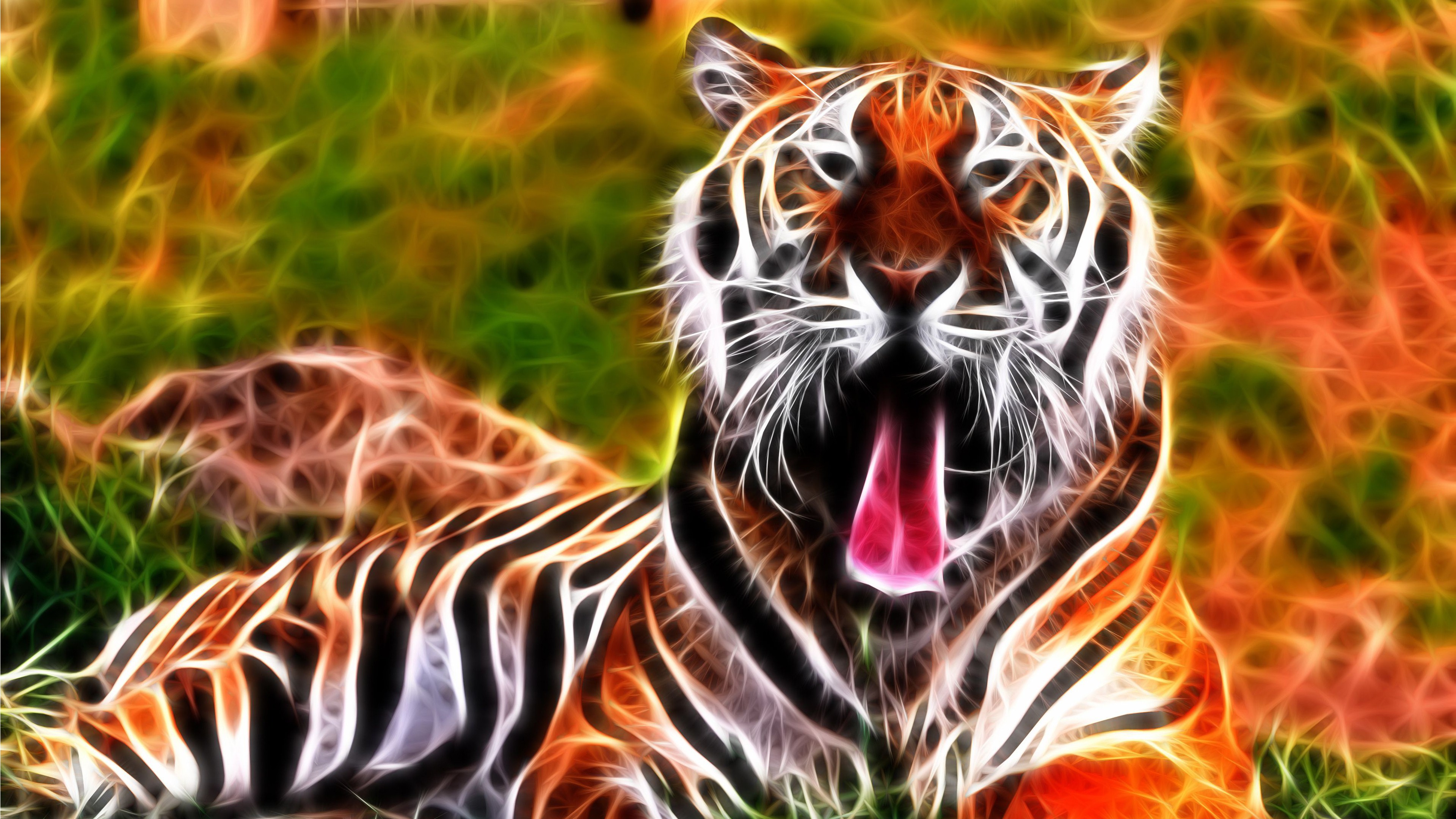 Tiger 4k , HD Wallpaper & Backgrounds