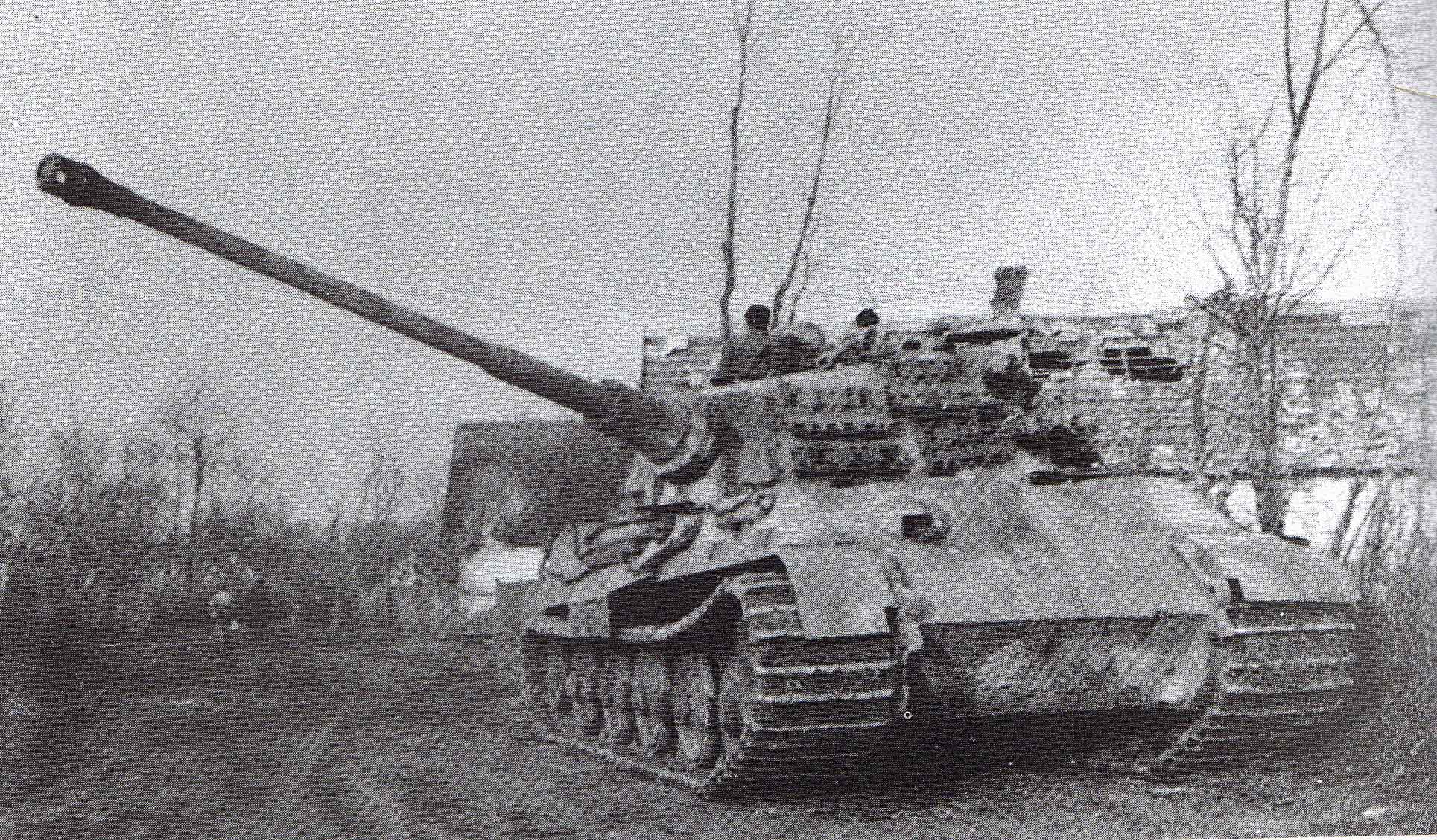 King Tiger Real 6 - Schwere Panzer Abteilung 509 , HD Wallpaper & Backgrounds