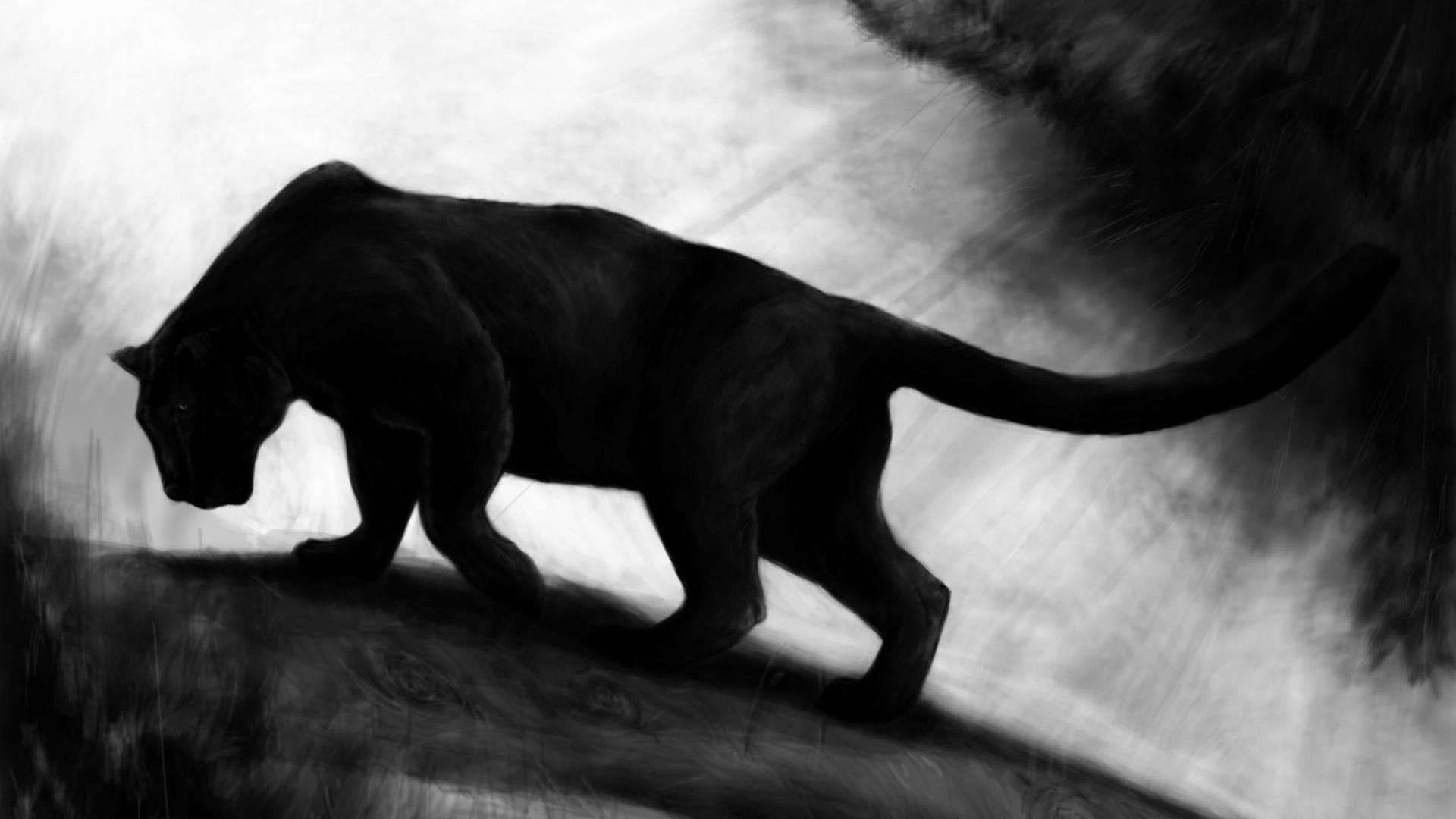 Black Panther Wallpaper Animal , HD Wallpaper & Backgrounds