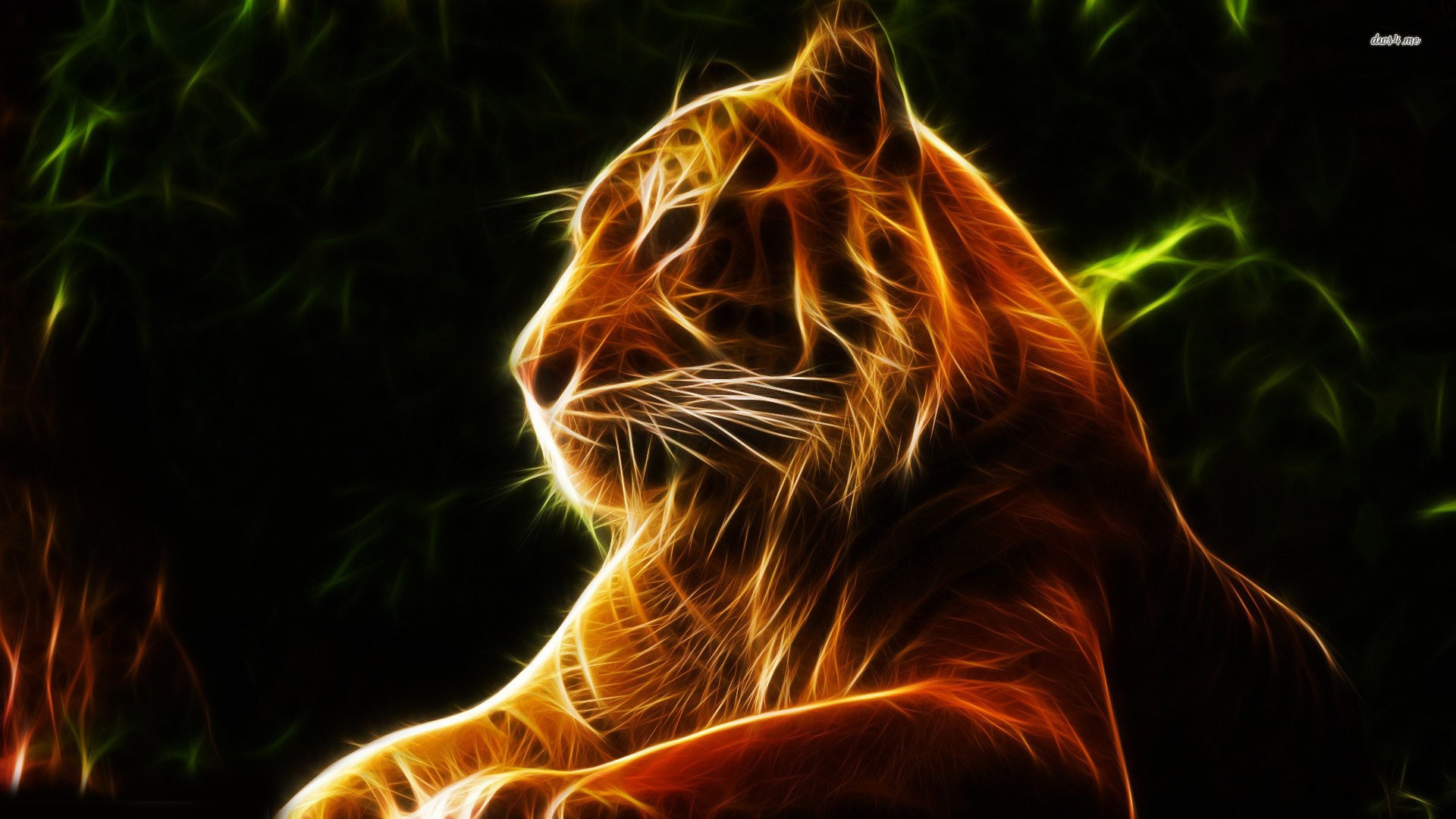 Glowing Tiger , HD Wallpaper & Backgrounds