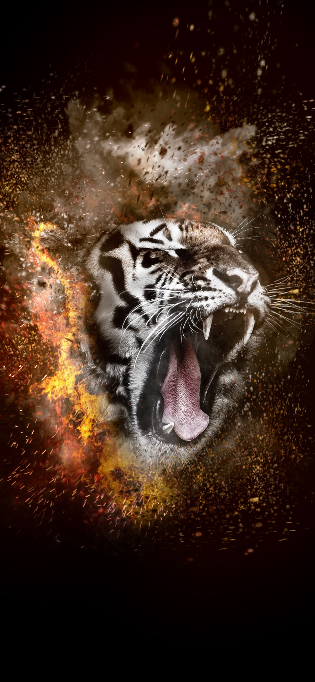 Xs Max - Tiger Background For Photoshop , HD Wallpaper & Backgrounds