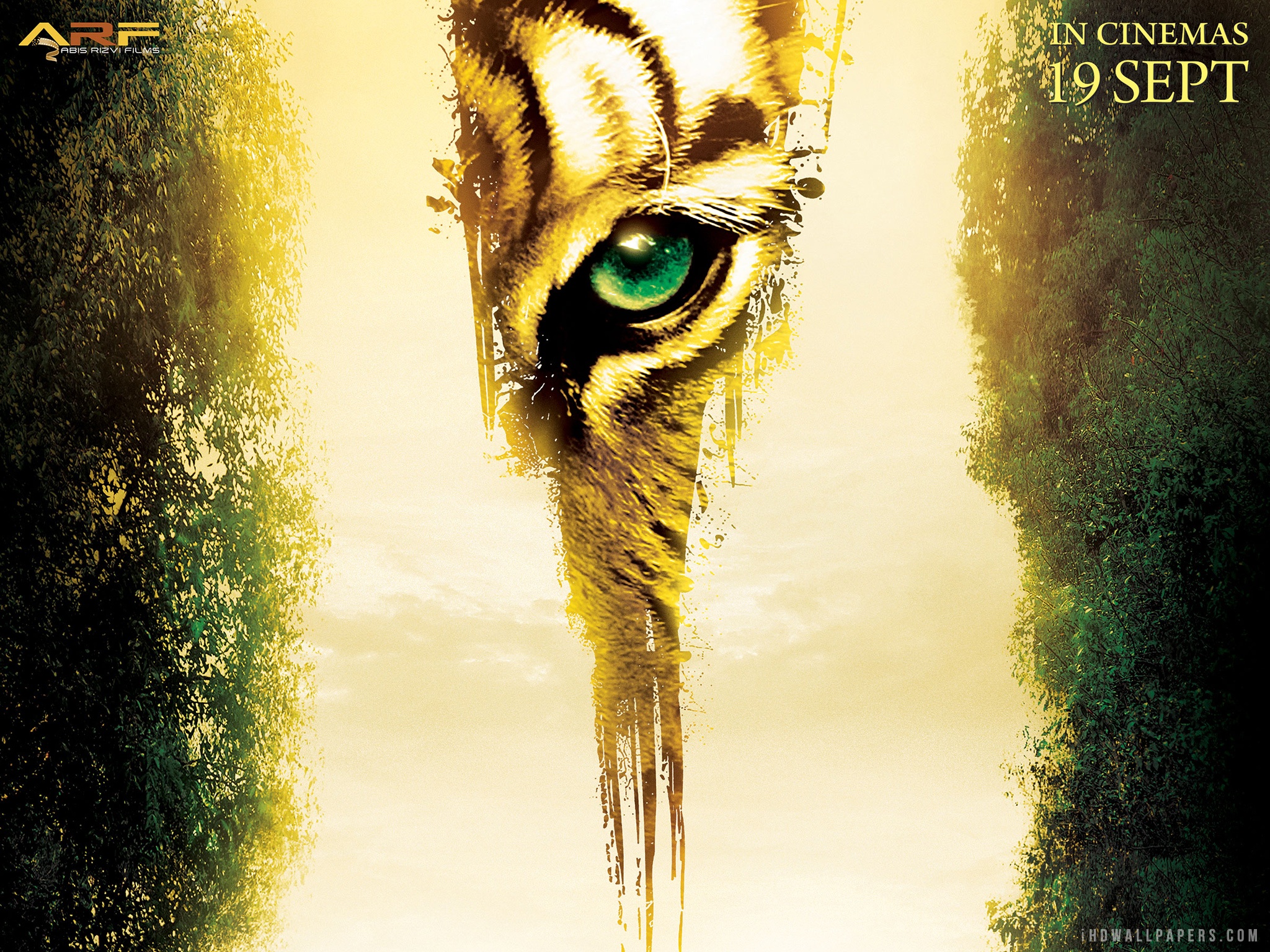 Tigress Of King River 2002 , HD Wallpaper & Backgrounds
