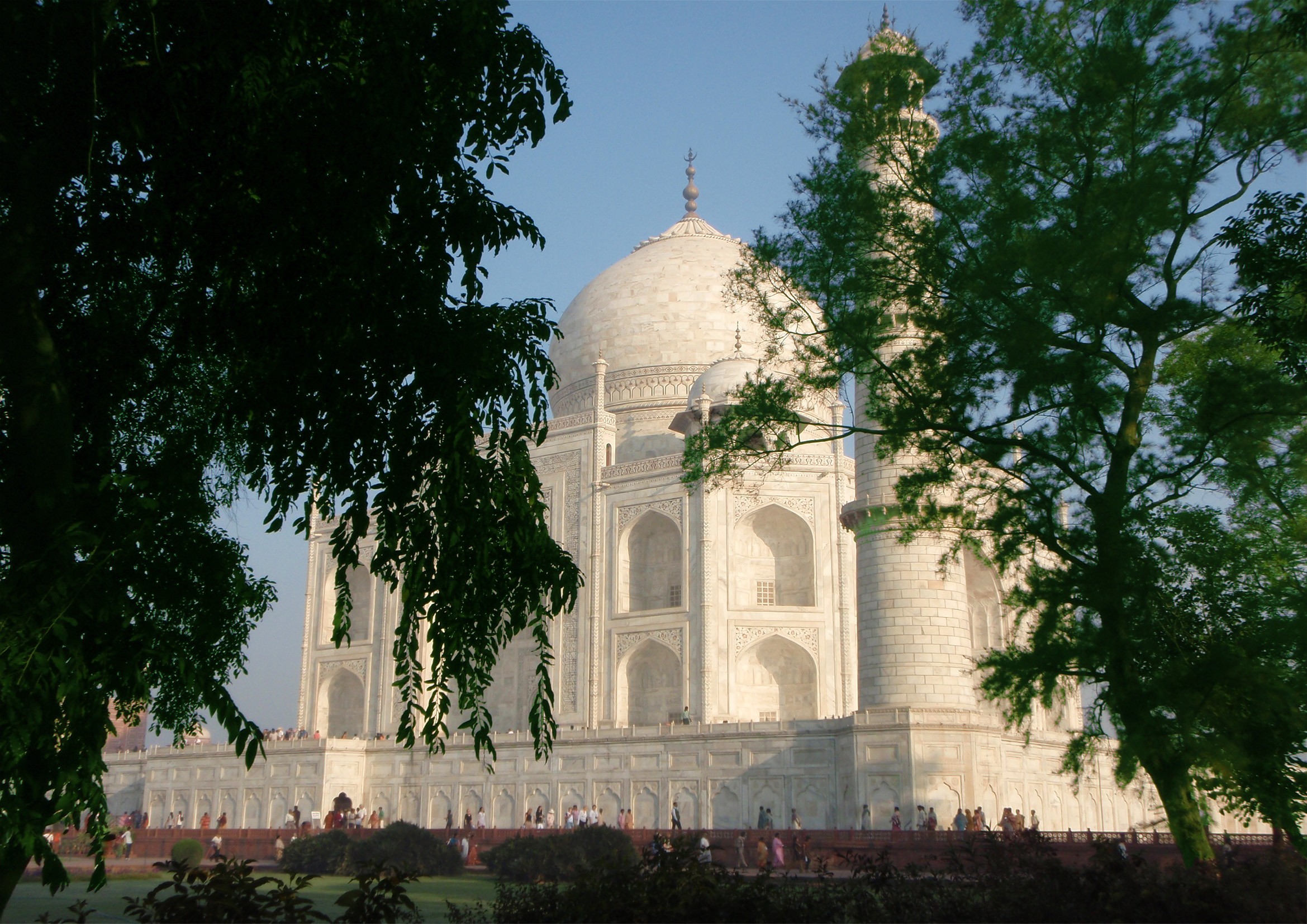 Taj Mahal Through Trees - Taj Mahal , HD Wallpaper & Backgrounds