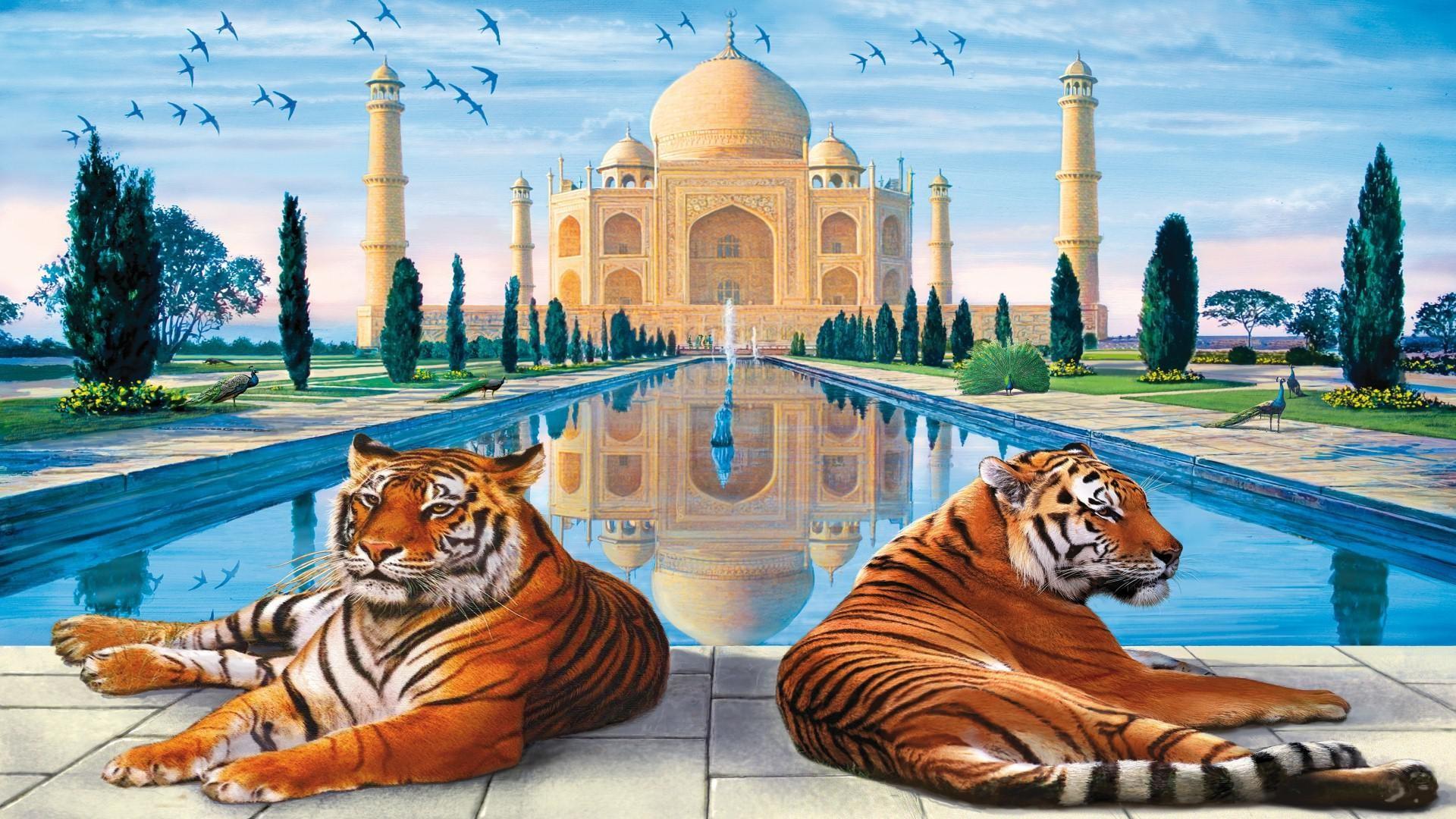 Taj - Full Hd Taj Mahal , HD Wallpaper & Backgrounds