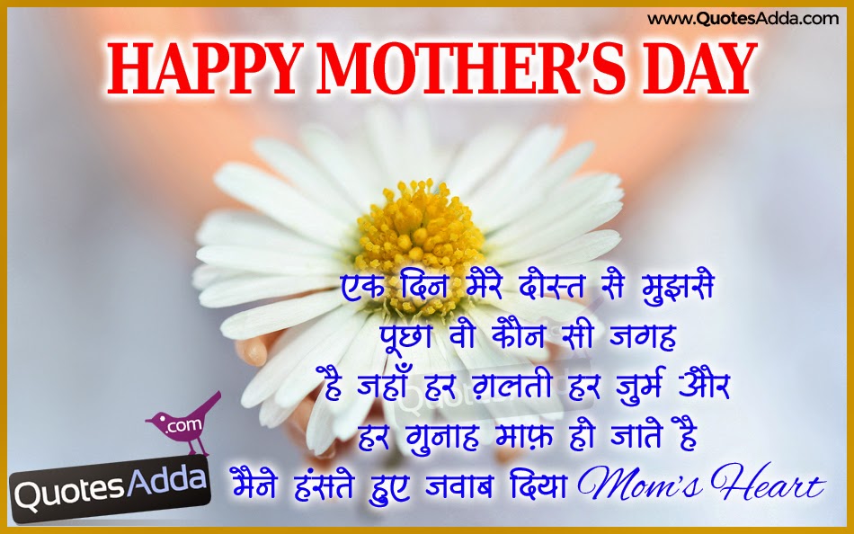 Mother Day Wallpaper In Hindi - Chamomile , HD Wallpaper & Backgrounds
