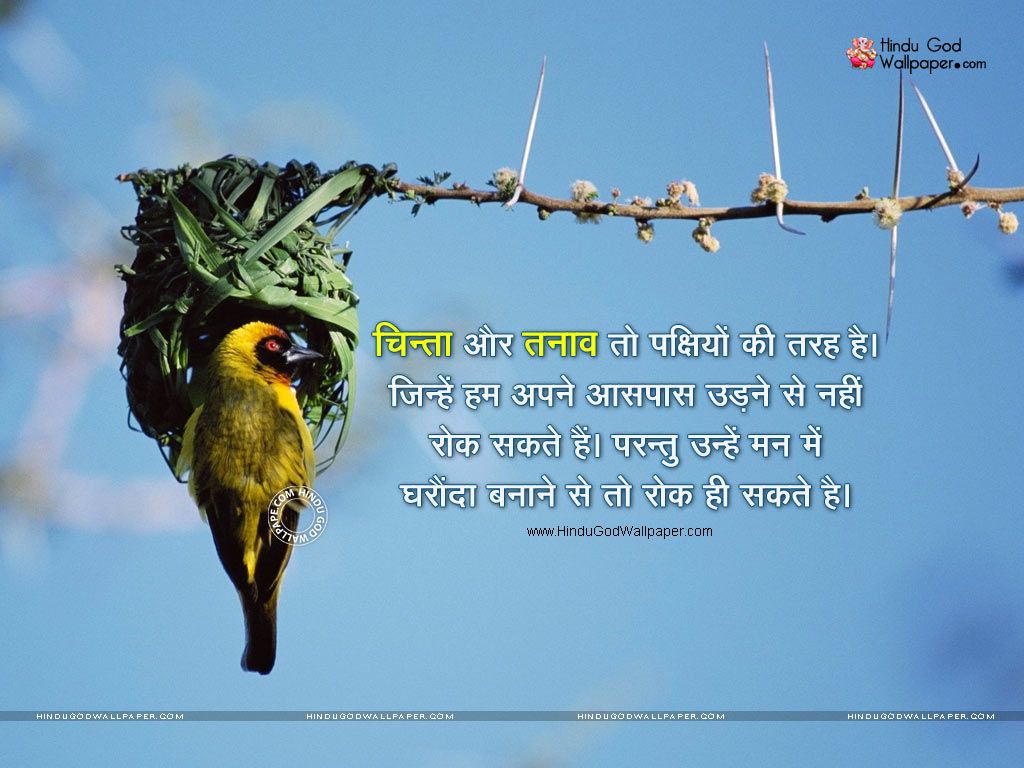 Suvichar In Hindi Wallpapers & Images Free Download - Bird Nest , HD Wallpaper & Backgrounds