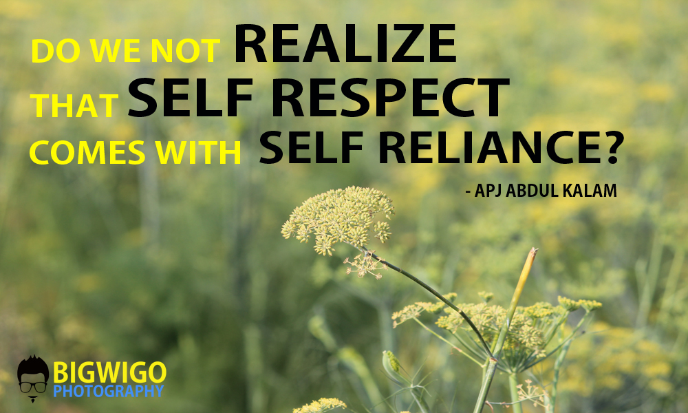 Quotes On Self Reliance In Hindi , HD Wallpaper & Backgrounds