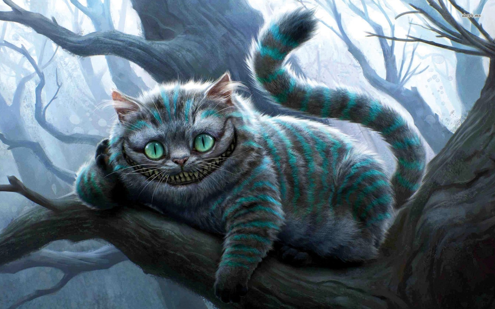 Alice & Wonderland Cat , HD Wallpaper & Backgrounds
