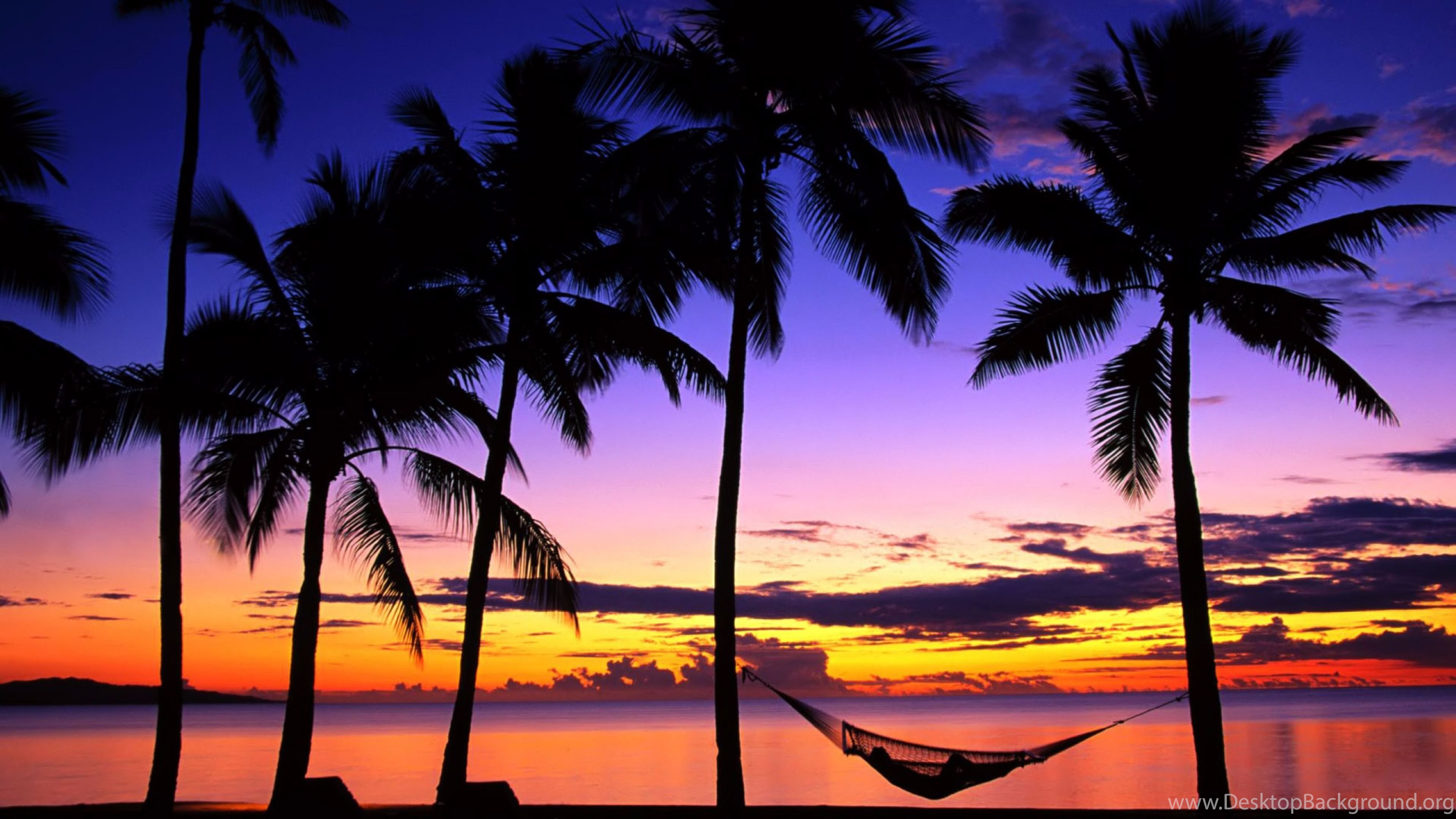 Wide - Tropical Sunset , HD Wallpaper & Backgrounds